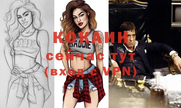 индика Тында