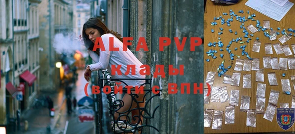 индика Тында