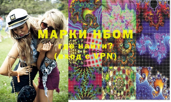 индика Тында