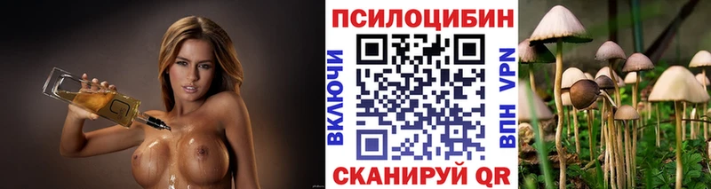 Купить закладки  Ярцево  Псилоцибиновые грибы Psilocybine cubensis 